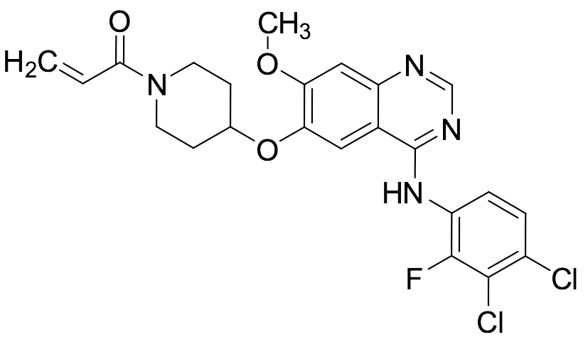 Poziotinib - image 1