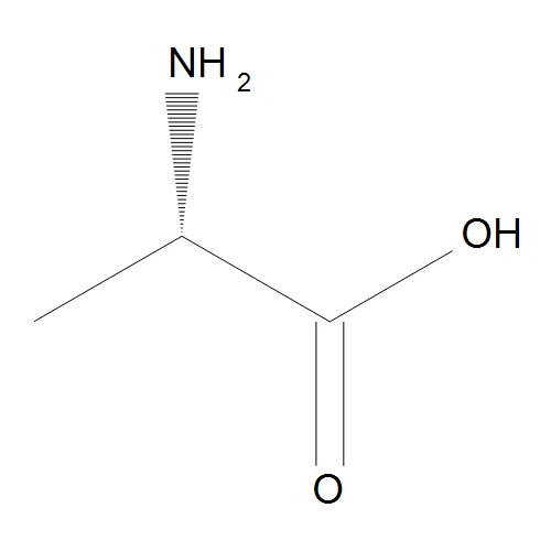 L-Alanine - image 1