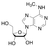 N6-Methyladenosine - image 1