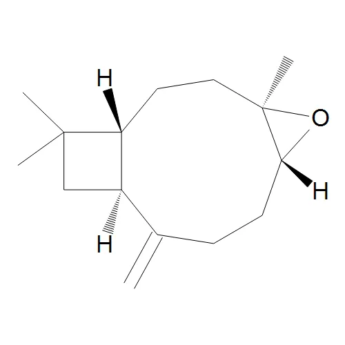 beta-Caryophyllene Epoxide - image 1