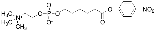 6-Carboxyhexylphosphocholine p-Nitrophenyl Ester - image 1