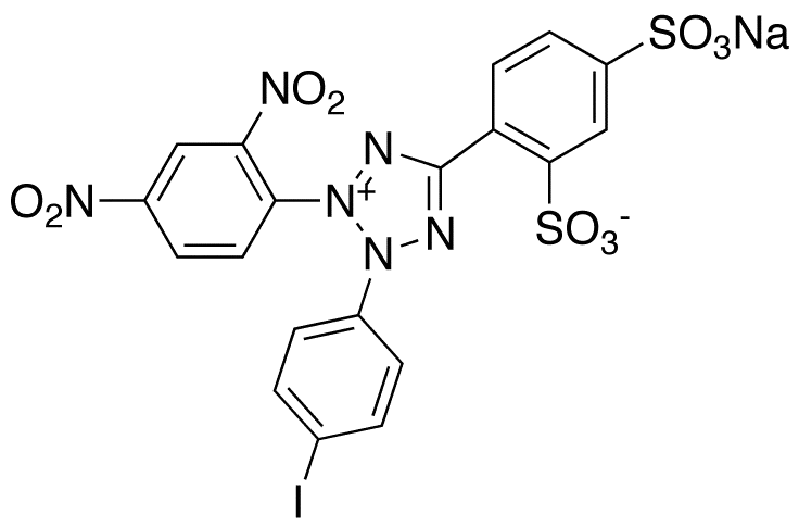WST-3 - image 1