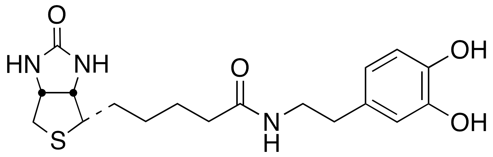 N-Biotinyl Dopamine - image 1
