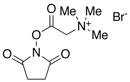 N,N,N-Trimethylglycine N-Hydroxysuccinimide Ester Bromide - image 1