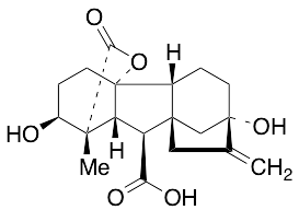 Gibberellin A1 - image 1