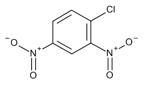 1-Chloro-2,4-dinitrobenzene - image 1