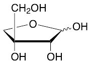 D-Apiose (~0.9 M in water) - image 1