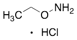 Ethoxyamine Hydrochloride - image 1