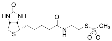 N-Biotinylaminoethyl Methanethiosulfonate - image 1