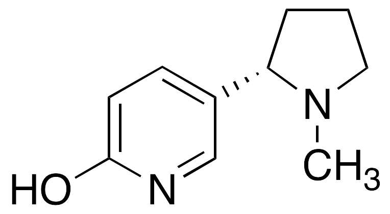 (S)-6-Hydroxy Nicotine - image 1