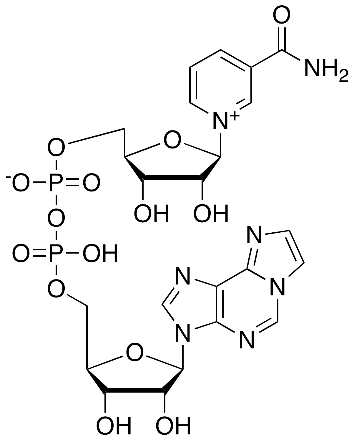 Nicotinamide 1,N6-Ethenoadenine Dinucleotide - image 1
