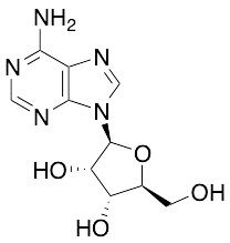 L-Adenosine - image 1