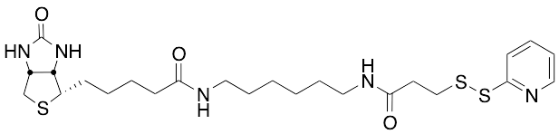 Biotin HPDP - image 1