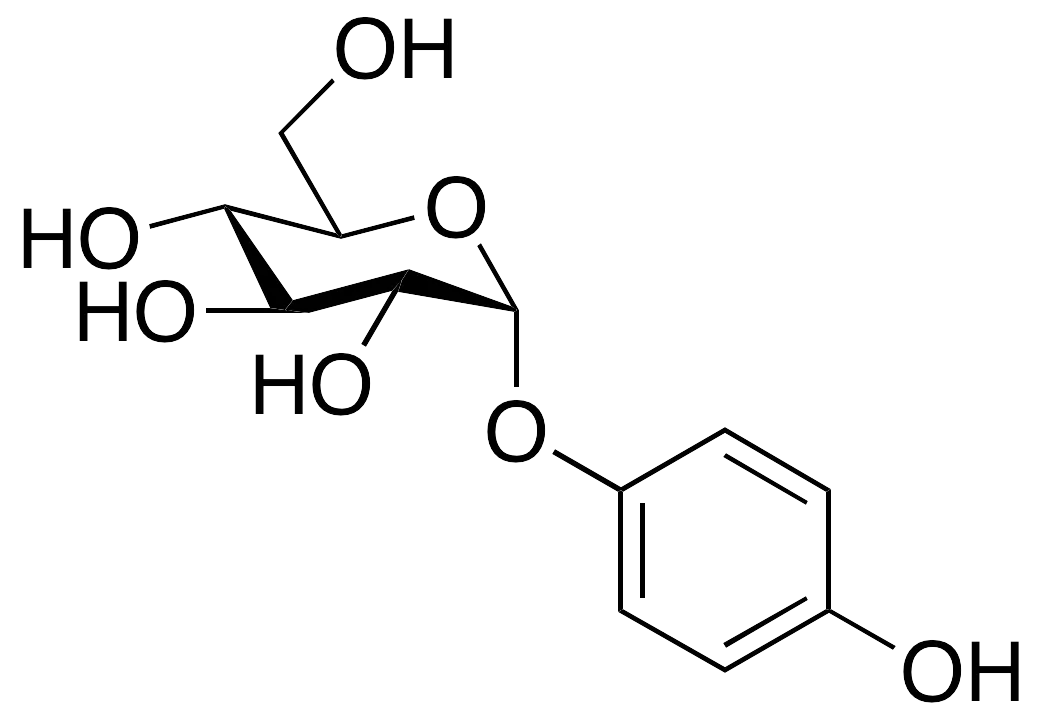alpha-Arbutin - image 1