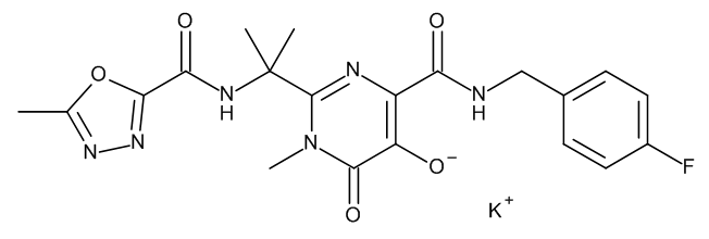 Raltegravir Potassium Salt - image 1