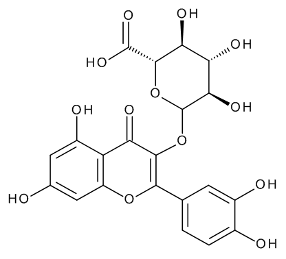 Quercetin 3-O-Beta-D-Glucuronide - image 1
