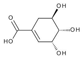 Shikimic Acid - image 1
