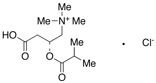 Isobutyryl L-Carnitine Chloride - image 1