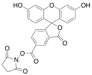 5-Carboxyfluorescein-N-hydroxysuccinimide Ester - image 1