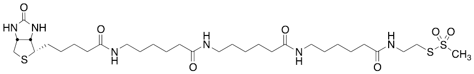 N-Biotinylcaproylaminocaproylaminocaproylaminoethyl Methanethiosulfonate - image 1