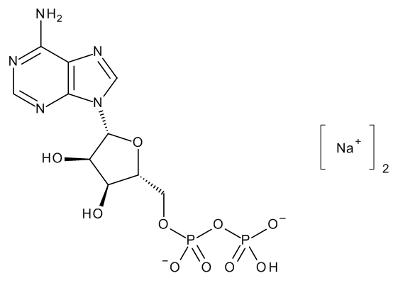 Adenosine 5'-Diphosphate Disodium Salt - image 1