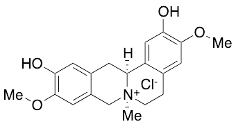 Phellodendrine Chloride - image 1