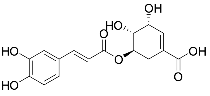 (3R,4R,5R)-5-[[3-(3,4-Dihydroxyphenyl)-1-oxo-2-propen-1-yl]oxy]-3,4-dihydroxy-1-cyclohexene-1-carboxylic Acid - image 1
