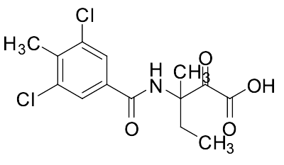 3-[(3,5-Dichloro-4-methylbenzoyl)amino]-3-methyl-2-oxopentanoic acid - image 1