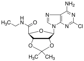 2-Chloro-2’,3’-O-isopropylideneadenosine-5’-N-ethylcarboxamide - image 1