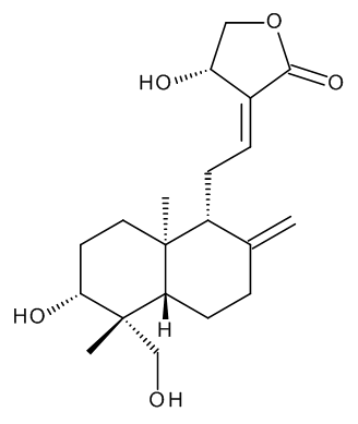Andrographolide - image 1