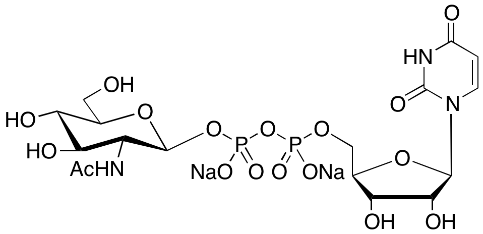 Uridine 5’-Diphospho-N-acetylglucosamine Disodium Salt - image 1