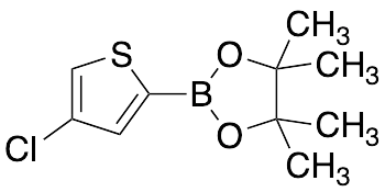 4-Chlorothiophen-2-boronic acid, pinacol ester - image 1