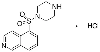 1-(5-Isoquinolinesulfonyl)piperazine Hydrochloride - image 1