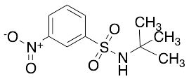 N-tert-Butyl 3-Nitrobenzenesulfonamide - image 1