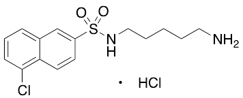 N-(5-Aminopentyl)-5-chloro-2-naphthalenesulfonamide Hydrochloride - image 1