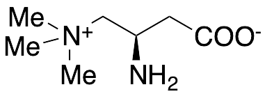 (R)-Amino Carnitine - image 1