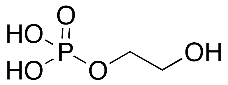 2-Hydroxyethyl Phosphate - image 1