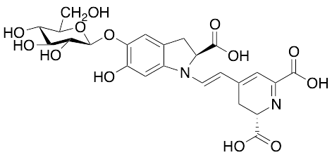 Betanin (Red Beet extract diluted with Dextrin) - image 1