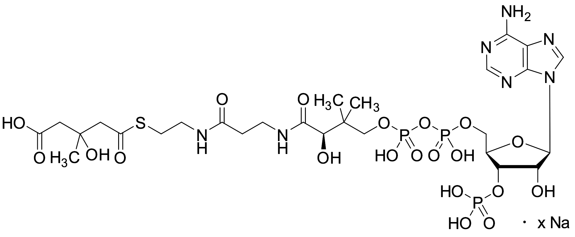 HMG-CoA Sodium Salt - image 1