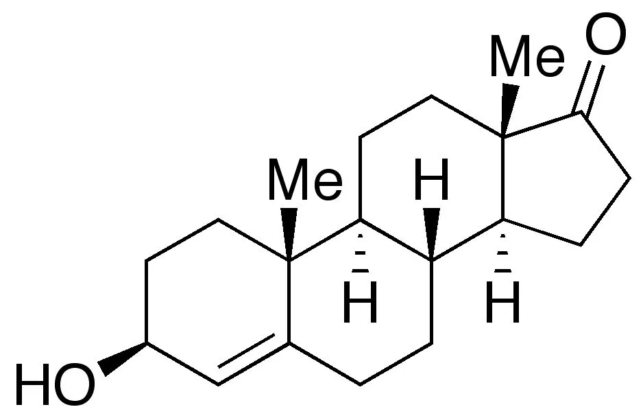 3Beta-Hydroxy-4-androstenone - image 1