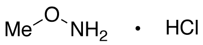 Methoxylamine Hydrochloride - image 1