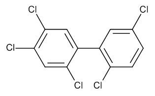 2,2',4,5,5'-Pentachlorobiphenyl - image 1