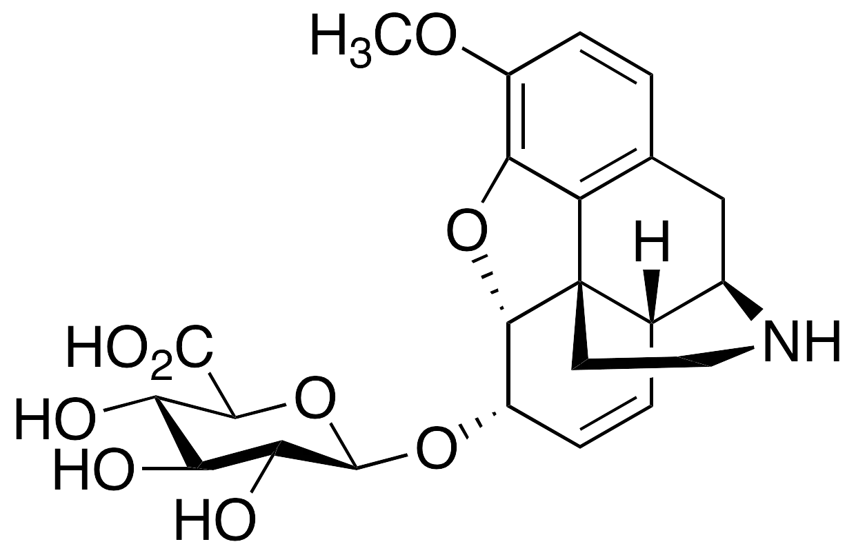 Norcodeine O-Beta-D-Glucuronid - image 1