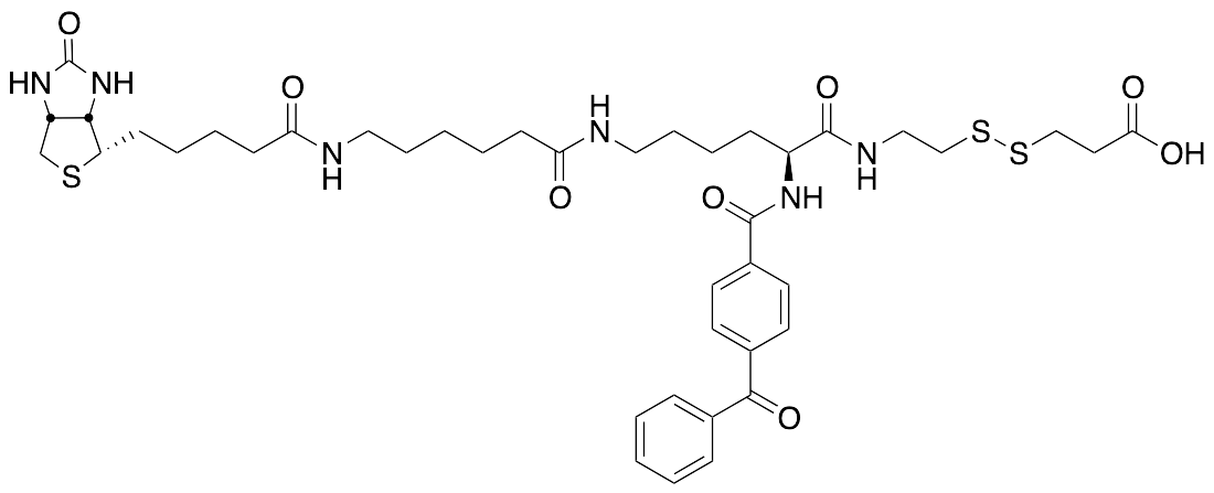 2-{N2-[NAlpha-Benzoylbenzoicamido-N6-6-biotinamidocaproyl]lysinylamido}ethyl-2’-carboxylethyl Disulfide - image 1