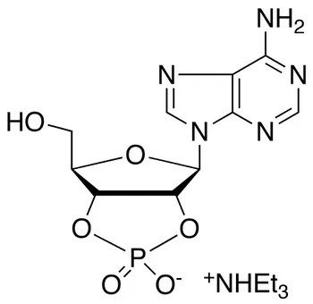 Adenosine 2’,3’-Cyclic Phosphate Triethylammonium Salt - image 1