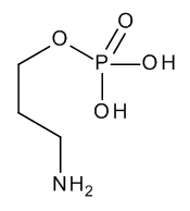 3-Aminopropyl Monophosphate - image 1
