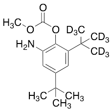 6-Amino-2,4-di-tert-butylphenyl-d9 Methyl Carbonate - image 1