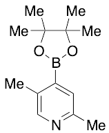 2,5-Dimethyl-4-(4,4,5,5-tetramethyl-1,3,2-dioxaborolan-2-yl)-pyridine (>90%) - image 1
