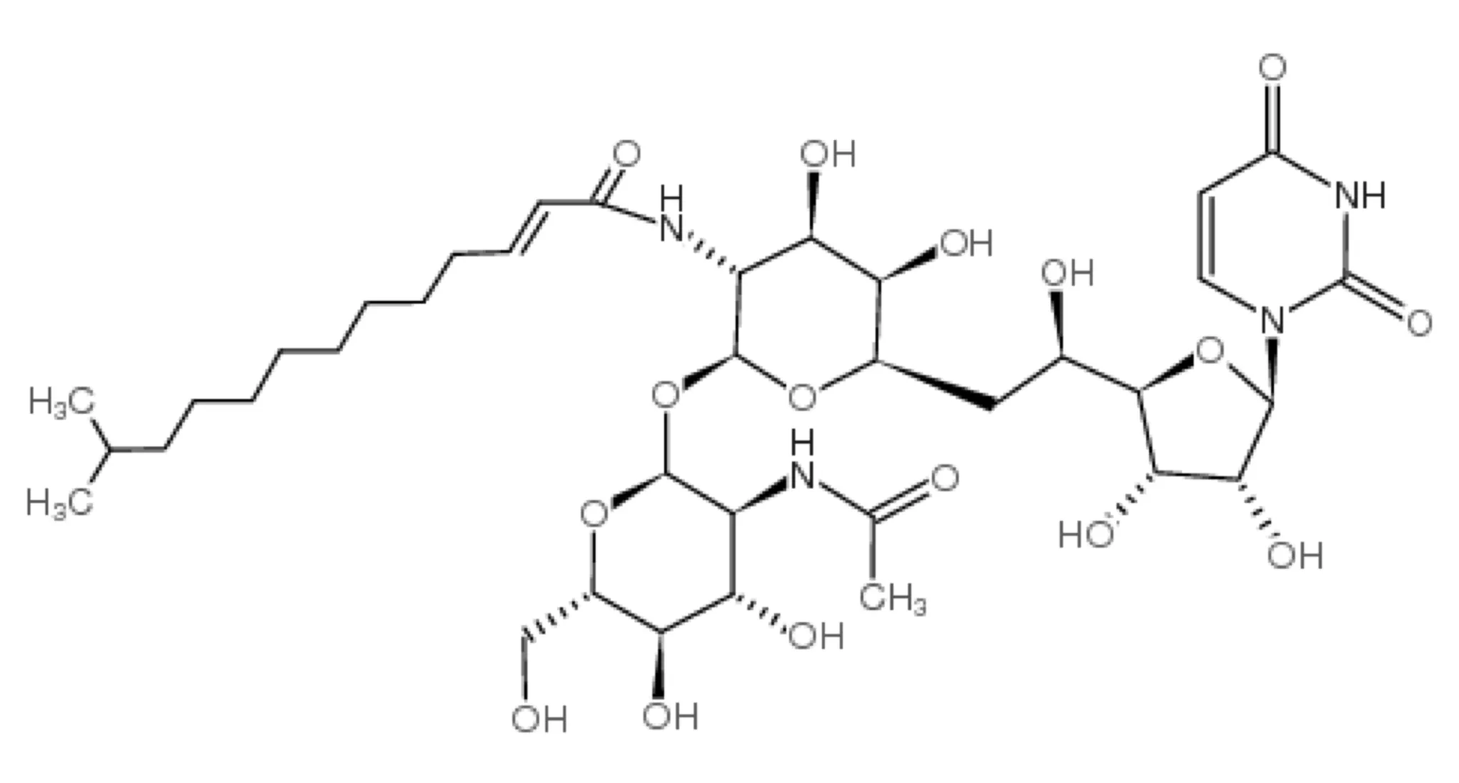 Tunicamycin - image 1