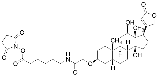 (3Beta,5Beta,12Beta)-3-[2-[[6-[(2,5-Dioxo-1-pyrrolidinyl)oxy]-6-oxohexyl]amino]-2-oxoethoxy]-12,14-dihydroxycard-20(22)-enolide - image 1